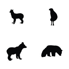 Black and white portrait, ferret-like creature, intense gaze, fur texture, close-up animal face, large round eyes, pointy ears, transparent background, 