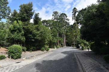 天智天皇陵　参道　京都市山科区御陵