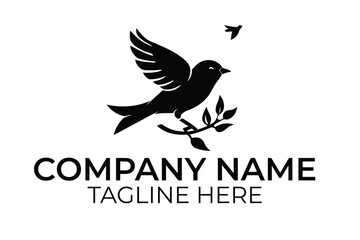 Fototapeta premium dove and peace