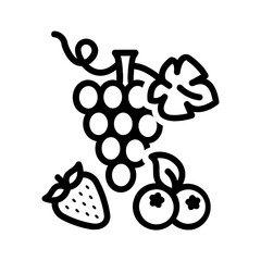Naklejka premium Vector black line icon for Berries