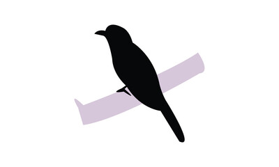 African emerald cuckoo bird Silhouette Design  And Vector Illustration. 
