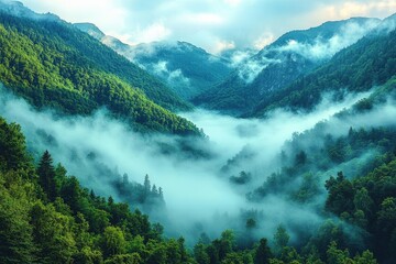 Lush Green Forest Mountains Covered in Morning Fog Under a Bright Sky In the Wilderness View of a Valley
