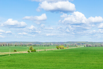 Vast green field under blue cloudy sky