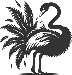 Ostrich preening its wing feathers animal vector silhouette