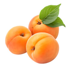 Fresh Apricots: Ripe, Juicy & Sweet