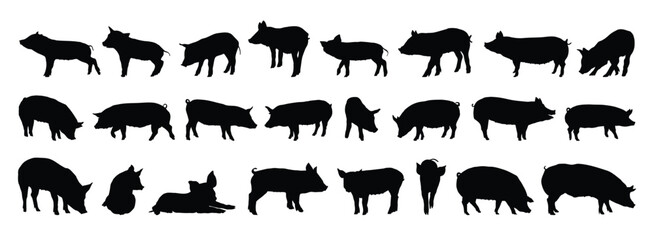 pig and piglet silhouette set. pig and piglet isolated farm animal silhouette icon vector collection