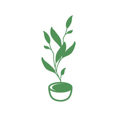 aesthethic flower pots design vector illustration template