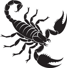 Scorpion Silhouette, Vector Design, Scorpion Icon