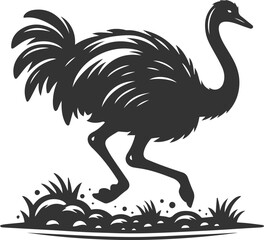 Obraz premium Ostrich walking cautiously on uneven ground animal vector silhouette