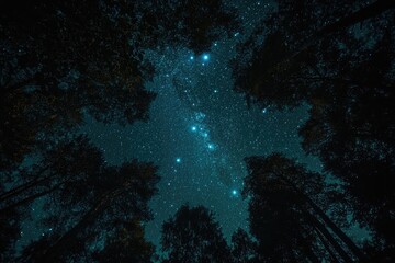 Obraz premium Starry Night Sky Through Forest Canopy
