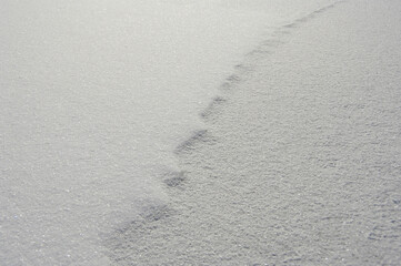 White snow sparkles in the sun. Silvery texture of snow on a sunny field.