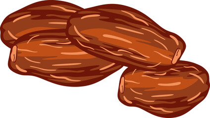 Dates Fruit Illustration