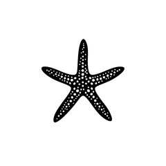 Obraz premium Elegant Black Starfish: A Minimalist Design