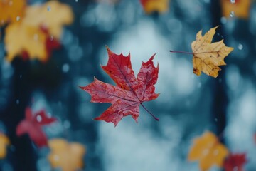 Fototapeta premium Colorful autumn leaves falling over a serene lake