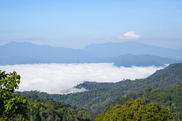 View in Kaeng Krachan National Park, Prachuap Khiri Khan Province, Thailand, taken on 1 January 2024.