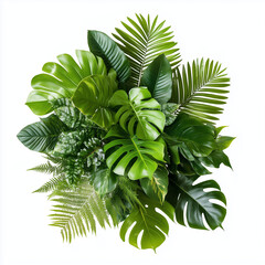 Green leaves of tropical plants bush (Monstera, palm, rubber plant, pine, bird’s nest fern) floral arrangement indoors garden nature backdrop isolated on white background, clipping path included. 