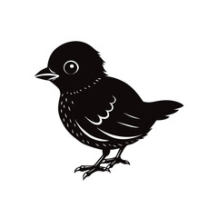 baby bird vector illustration