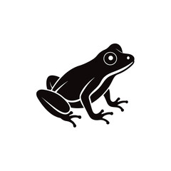frog vector illustration