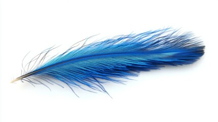 Obraz premium Single vibrant blue feather isolated on white background. Delicate, soft, and elegant, this feather showcases nature's artistry.