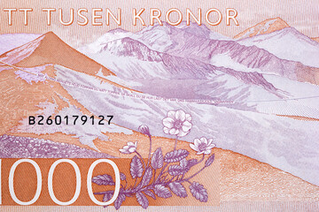 Mountain range from Swedish money