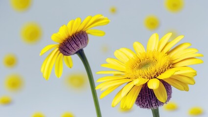 Close-up of yellow daisies with purple centers against a soft blurred background featuring circular bokeh effects in light colors
