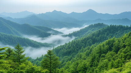 Fototapeta premium Misty mountain range with lush green forests and valleys.