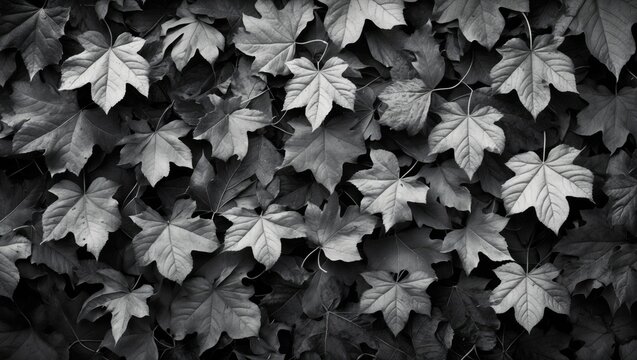 Black and white close-up of textured ivy leaves creating a dense natural background pattern