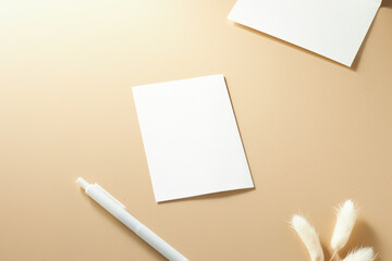 Blank White Card and Pen on Beige Background With Dried Flowers for Creative Projects or...