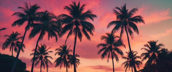 tropical sunset silhouette of palm trees against a colorful sky with clouds in warm shades of orange and pink