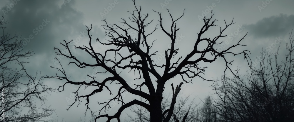 Poster silhouette of a barren tree with twisted branches against a cloudy sky in a desolate landscape durin