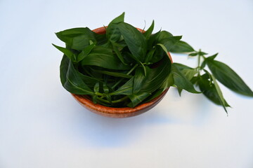Andrographis paniculata leaves in wooden bowl. Its other name 
creat or green chireta. Its has been traditionally used to treat infections and some diseases. Mostly its used for medicinal purposes.
