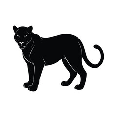 A black and white tiger animal vector on white background.