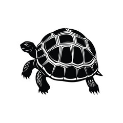 A silhouette turtle animal vector simple flat design.