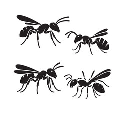 The ant silhouette vector illustration icon srt
