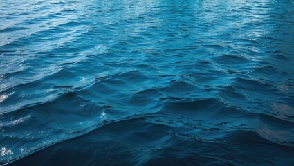Fototapeta premium Calm blue water surface with gentle waves and reflections under natural light.
