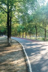 New pathway and beautiful trees track for running or walking and cycling relax in the park