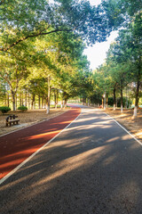 New pathway and beautiful trees track for running or walking and cycling relax in the park