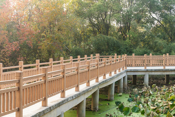 Wooden bridge over little river in city park