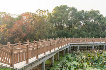 Wooden bridge over little river in city park