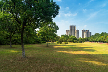 Beautiful panorama of green city park