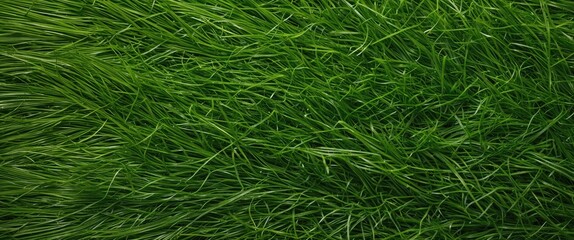 Vibrant artificial grass background ideal for landscaping, sports fields, and outdoor decor showcasing lush green textures and depth.