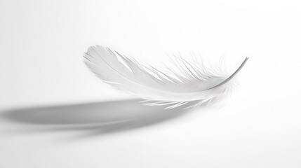 Obraz premium Elegant White Feather Floating Gently on White Background Casting Soft Shadow