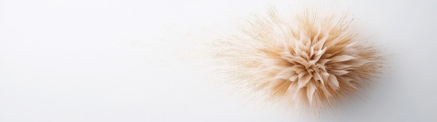 Delicate Natural Decoration with Soft Textures on a White Background