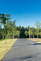 The road of City Park in China