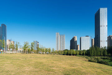 Obraz premium city park with modern building background in shanghai