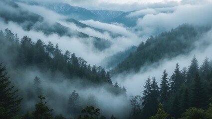 Foggy forest landscape in mountains with dense clouds and lush greenery creating a serene and mystical natural atmosphere.