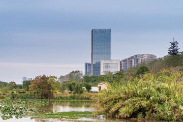 Lakeside modern office building in China