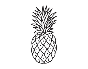 Pineapple fruit doodle hand drawn icon. Outline drawing Pineapple line clipart symbol