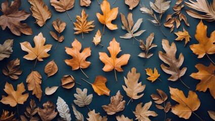 Autumn leaves in various shapes and colors arranged on a dark background flat lay composition
