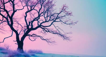 Lonely tree silhouette against a pastel gradient background during twilight in soft hues of pink and blue